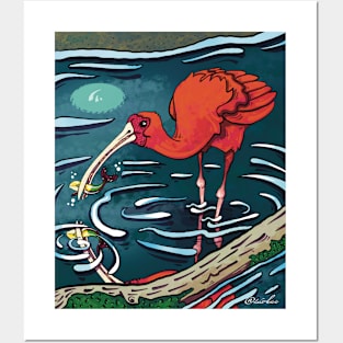 Scarlet Ibis Posters and Art